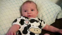 baby in cow outfit baby dressed like cow