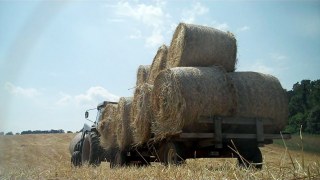 hay wagon
